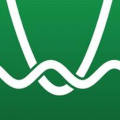 DESMOS logo.png